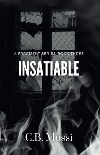Insatiable - The Fragment Series (Book Three)