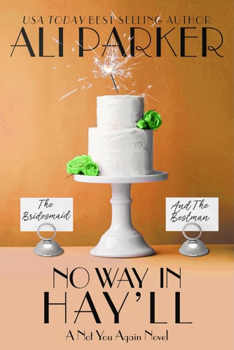 No Way in Hay'll (A Not You Again Novel)