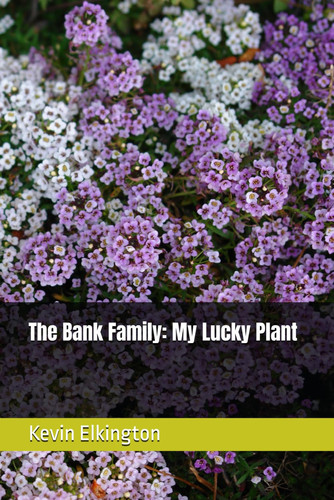 The Bank Family My Lucky Plant