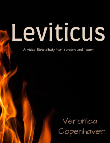 LEVITICUS BIBLE STUDY - A Bible Study Connecting Teens and Parents