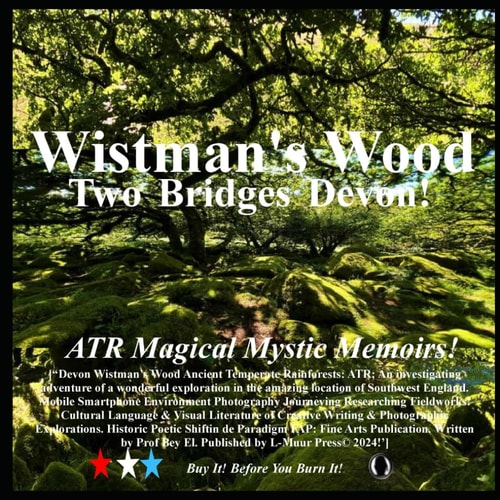 Wistman's Wood Two Bridges Devon!: ATR Magical Mystic Memoirs!