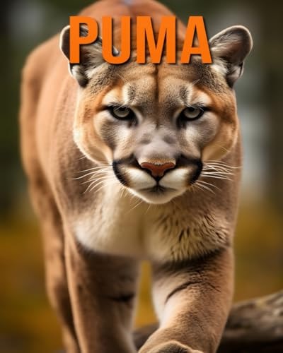 Puma - Fatti e immagini divertenti e affascinanti sui Puma