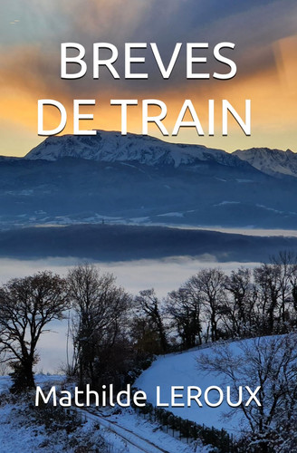 BREVES DE TRAIN (French Edition)