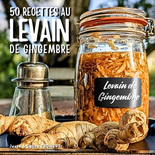50 RECETTES AU LEVAIN DE GINGEMBRE (French Edition)