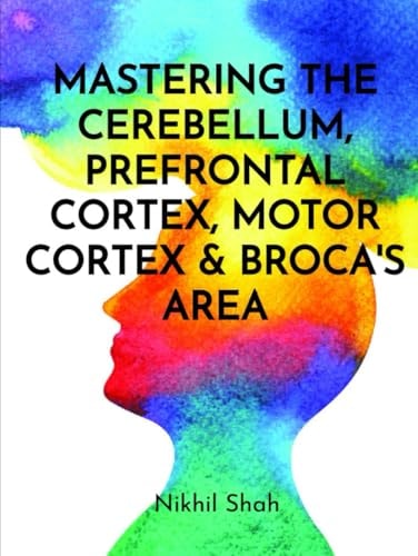 Mastering the Cerebellum, Prefrontal Cortex, Motor Cortex & Broca’s Area