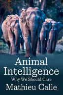 Animal Intelligence - Why We Should Care