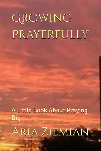 Growing Prayerfully: A Little Book About Praying Big