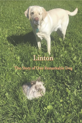 Linton: The Story of One Remarkable Dog