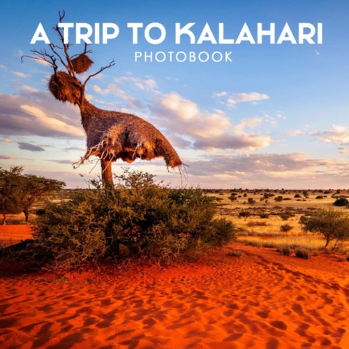 A Trip To Kalahari PhotoBook: High-Quality Photos Of A Trip To Kalahari Pictures