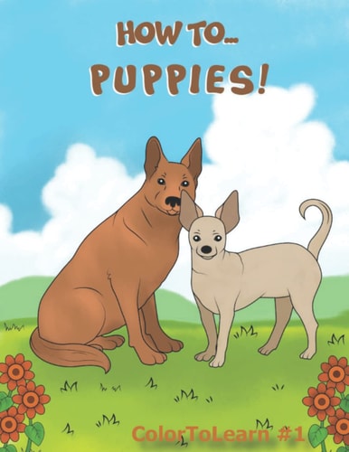 How To... PUPPIES!