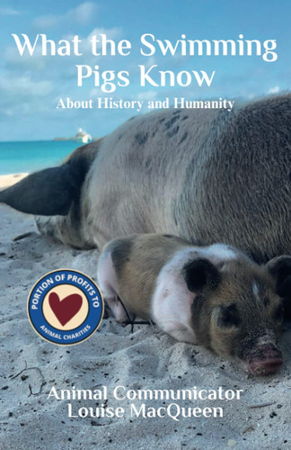 What the Swimming Pigs Know: About History and Humanity