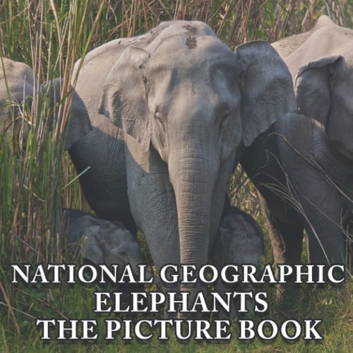 A Picture Book Of Nɑtισnɑl Geσgɾɑpɦιc, Elephants: An Amazing Collection With Compelling Photos Of Nɑtισnɑl Geσgɾɑpɦιc, Elephants To Give On Thanks Giving, Christmas, New Year, And So On