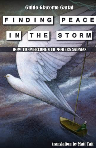 Finding Peace in the Storm How to Overcome Our Modern Sadness