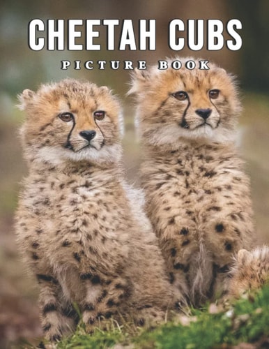 Picture Of Cheetah Cubs: An Album Consist Of Compelling Photos Collection Of Cheetah Cubs With High Quality Images As A Special Gift For Friends, Family, Lovers, Relative