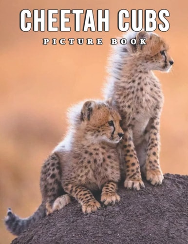 The Picture Book Of Cheetah Cubs: Compelling Photos Collection Of Cheetah Cubs As A Great Gift For Adults, Teens, Kids To Relax And Relieve Stress