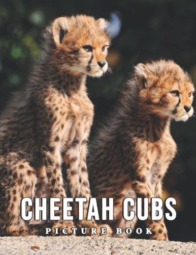 The Picture Book Of Cheetah Cubs: An Album Consist Of Compelling Photos Collection Of Cheetah Cubs With High Quality Images As A Special Gift For Friends, Family, Lovers, Relative