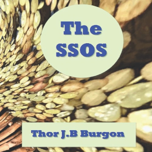 The SSOS