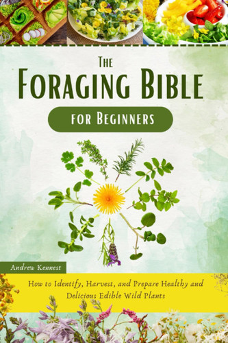 The Foraging Bible for Beginners How to Identify, Harvest, and Prepare Healthy and Delicious Edible Wild Plants