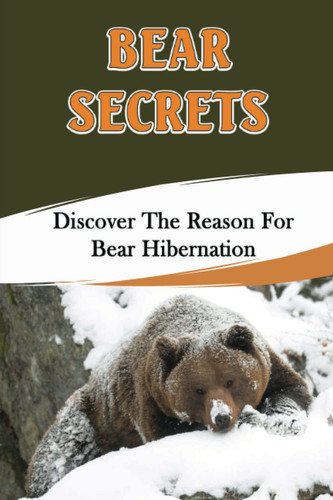 Bear Secrets: Discover The Reason For Bear Hibernation