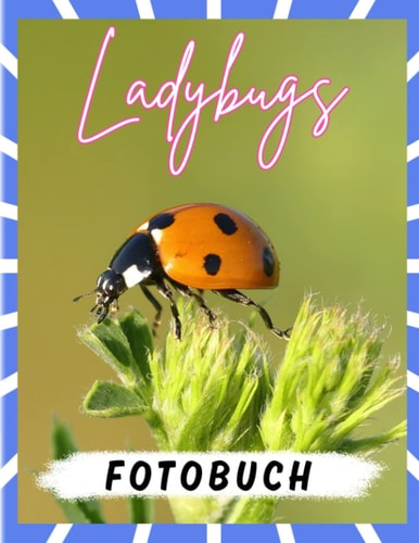 Ladybugs Fotobuch: Ein orangefarbenes Insekt auf 40 bunten Seiten zum Dekorieren und Spaß haben | Entspannungsgeschenke | Weihnachtsgeschenke (German Edition)