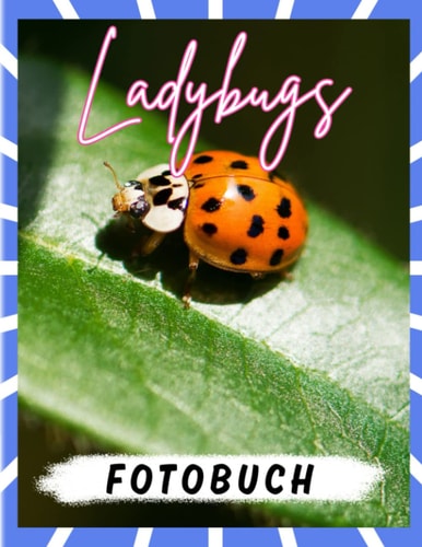 Ladybugs Fotobuch: Bilderbuch über ein kleines Insekt mit 40 Bildern im Inneren | Gag Geschenke | White Elephant Geschenke | Geschenke zum Stressabbau (German Edition)