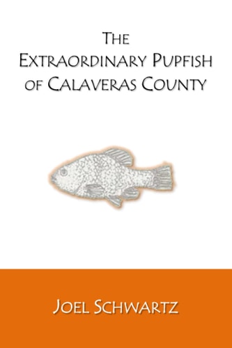 The Extraordinary Pupfish of Calaveras County