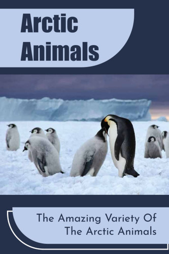 Arctic Animals: The Amazing Variety Of The Arctic Animals