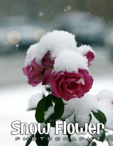 Snow Flower Photo Book: Compelling Photos Of Snow Flower Collection As A Perfect Gift Idea For Family Relatives Friends Lover All Age