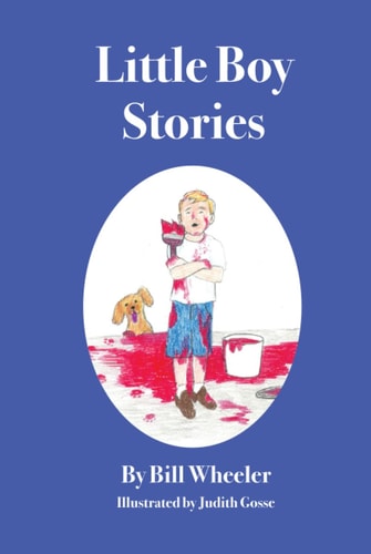 Little Boy Stories