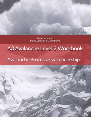A3 Avalanche Level 2 Workbook: Avalanche Processes & Leadership