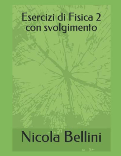 Esercizi di fisica 2 con svolgimento (Italian Edition)