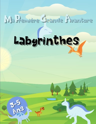 Ma Première Grande Aventure: Cahier d'Activité Labyrinthe des dinosaures pour enfants de 3 à 5 ans. Livre en couleur. Jeux Amusant 16 Labyrinthe De ... en couleurs. Idée cadeau. (French Edition)