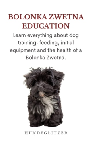 Bolonka Zwetna Education: Learn everything about dog training, feeding, initial equipment and the health of a Bolonka Zwetna