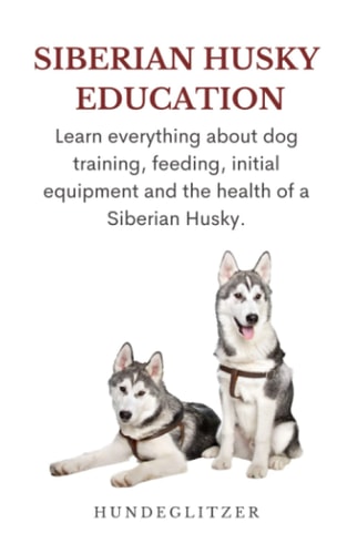 Siberian Husky Education: Learn Everything About Dog Training, Feeding, Initial Equipment and the Health of a Siberian Husky