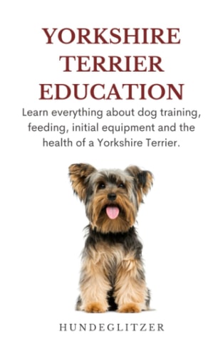 Yorkshire Terrier Education: Learn Everything About Dog Training, Feeding, Initial Equipment and the Health of a Yorkshire Terrier