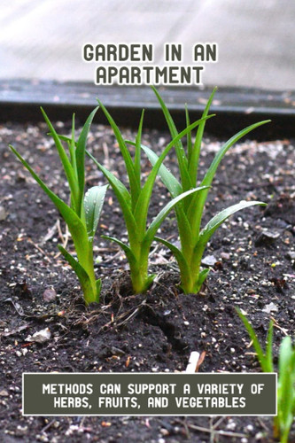 Garden In An Apartment: Methods Can Support A Variety Of Herbs, Fruits, And Vegetables