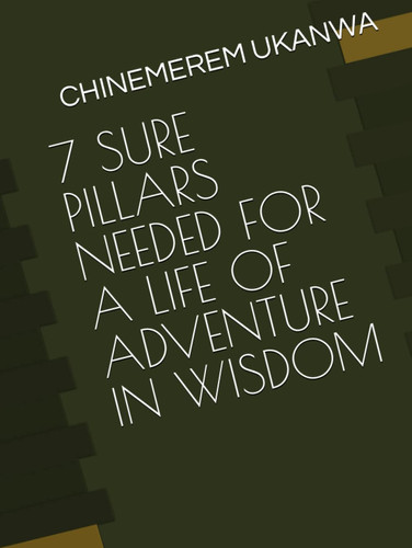 7 SURE PILLARS NEEDED FOR A LIFE OF ADVENTURE IN WISDOM