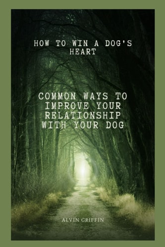 How to Win a Dog's Heart Common Ways to Improve Your Relationship with Your Dog