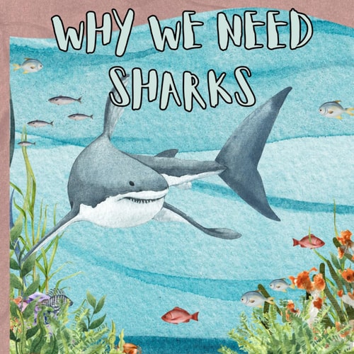 Why We Need Sharks