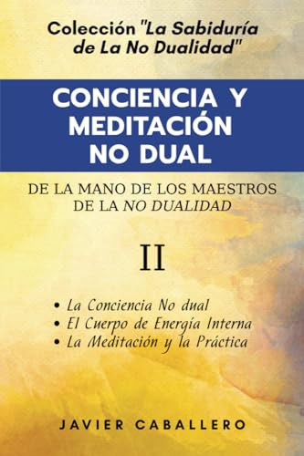 Conciencia Y Meditación No Dual