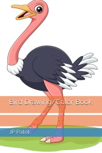 Bird Drawing/Color Book