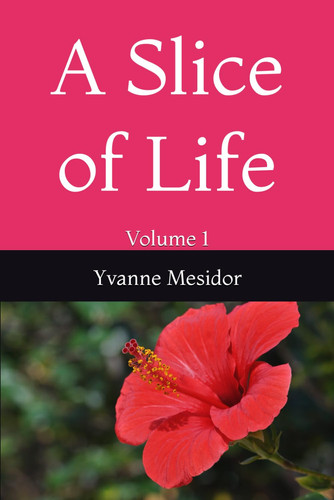 A Slice of Life Volume 1