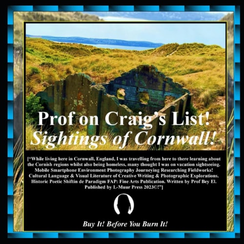 Prof on Craig List!: Sightings of Cornwall