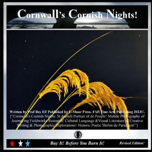 Cornwall’s Cornish Night!: St Austell Portrait of de People!