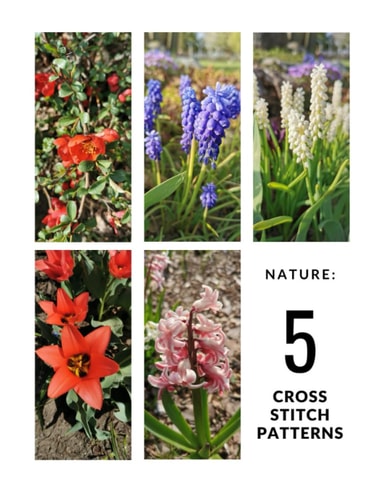Nature: 5 Cross Stitch Patterns: DIY (Cross Stitch Art)