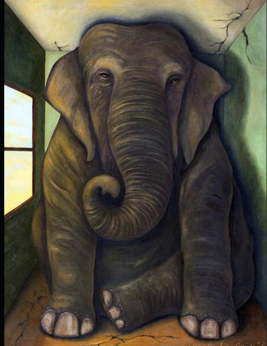 GOD'S DECEPTION: The Elephant in the Room Volume 1