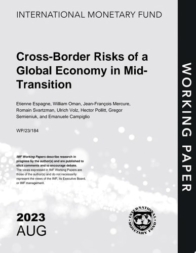 Cross-Border Risks of a Global Economy in Mid-Transition