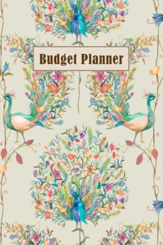 Budget Planner: Monthly Bookkeeping Record Budget Planner - Weekly and Monthly Financial Organizer - Budget Planner Income and Expense Planner (Bookkeeping Record Book for Small Business)