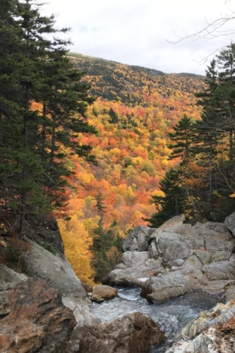 Notebook: Autumn Foliage/Leaves Notebook Journal, River/Creek and mountains, 6x9" 120 pages blank lined paper