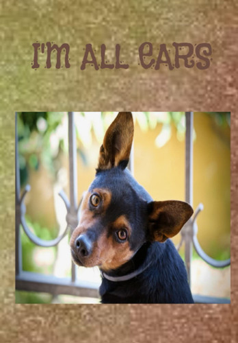 I'm All Ears